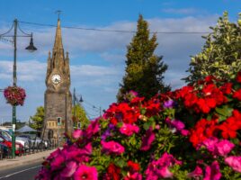 8f6102ba415843eb910de45f2711ddc7